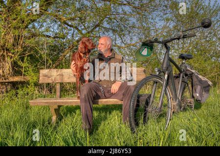 In der Morgensonne sitzen ein älterer Bürger und sein wunderschöner irischer Setter-Hund auf einer Bank im Grünen und machen eine Pause von der Radtour. Stockfoto