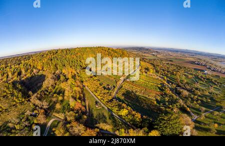 Panoramabild von landschaftlich reizvollen Weinbergen in der wunderschönen Herbstlandschaft Süddeutschlands Stockfoto