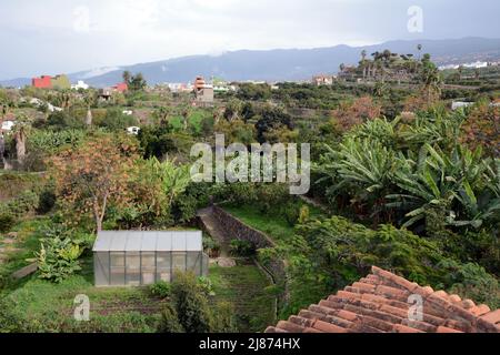 Eine spanische Finca oder Landwirtschaftsplantage, in der Nähe der Stadt Los Realejos, auf der Insel Teneriffa, Kanarische Inseln, Spanien. Stockfoto