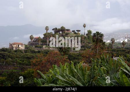 Eine spanische Finca oder Landwirtschaftsplantage, in der Nähe der Stadt Los Realejos, auf der Insel Teneriffa, Kanarische Inseln, Spanien. Stockfoto