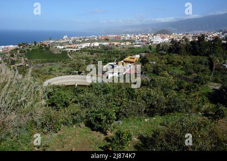 Eine spanische Finca oder Landwirtschaftsplantage, in der Nähe der Stadt Los Realejos, auf der Insel Teneriffa, Kanarische Inseln, Spanien. Stockfoto