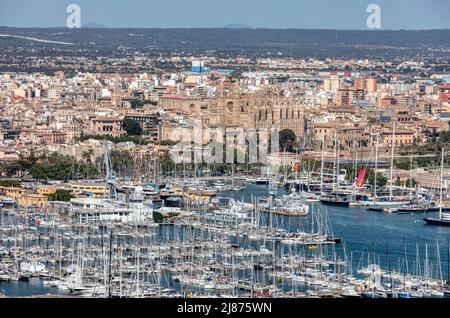 Kathedrale von Palma - Le Seu steht hinter Yachten und Schiffen im Hafen und Jachthafen von Palma, von der auf einem Hügel gelegenen Festung Castle Bellver in Palma aus gesehen. Stockfoto