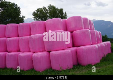 Bunte Heuballen, die in Serre Ponçon, Südalpen, Frankreich, mit rosa Plastik bedeckt sind Stockfoto