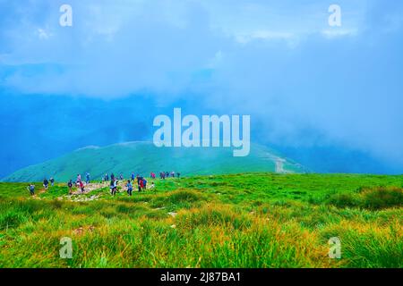 Die Wanderung zum Berg Hoverla, dem höchsten Punkt der Karpaten, Chornohora-Gebirge, Ukraine Stockfoto