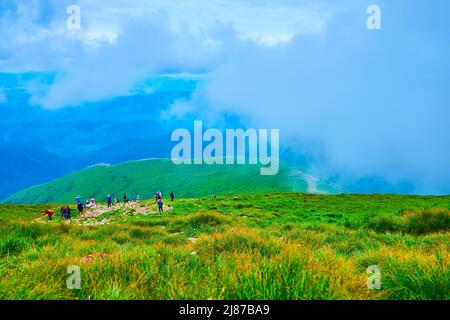 Die Wanderer klettern und ruhen sich auf dem Hang des Berges Hoverla, Chornohora-Gebirge, Karpaten, Ukraine Stockfoto