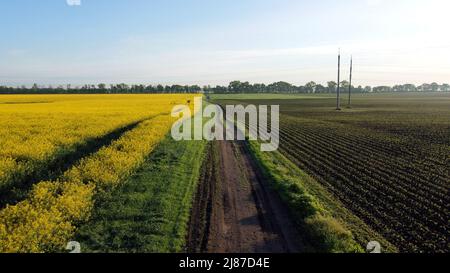 Luftdrohnenflug über eine Straße zwischen einem gelb blühenden Rapsfeld Stockfoto