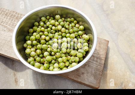 Reife Stachelbeere in Metallschale. Frische grüne Stachelbeeren, vegetarisches Essen. Erntekonzept, Draufsicht Stockfoto