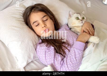Ein kleines charmantes Mädchen im lila Schlafanzug schläft umarmt eine weiße charmante Katze, die auf einem weißen Kissen auf dem Bett liegt. Stockfoto