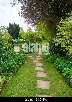 Chenies Manor Garden. Pfad durch den Weißen Garten im Frühling, zeigt Schattierungen von Grün, buntes Laub und weiße Narzissen in Pflanzgefäßen. Stockfoto