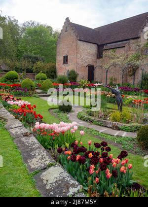 Chenies Manor Garden.Porträtansicht des schönen versunkenen Gartens mit vielen Tulpen-Sorten. Stockfoto