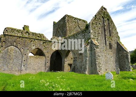 Hore Abbey, zerstörten Zisterzienserinnen-Kloster in der Nähe der Rock of Cashel, County Tipperary, Irland Stockfoto