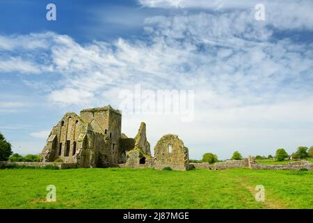 Hore Abbey, zerstörten Zisterzienserinnen-Kloster in der Nähe der Rock of Cashel, County Tipperary, Irland Stockfoto