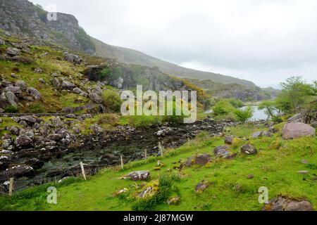 Der Fluss Loe und die schmale Bergpassstraße schlängeln sich durch das steile Tal des Gap of Dunloe, eingebettet in die Macgillycuddys Reeks Mountains, County Stockfoto