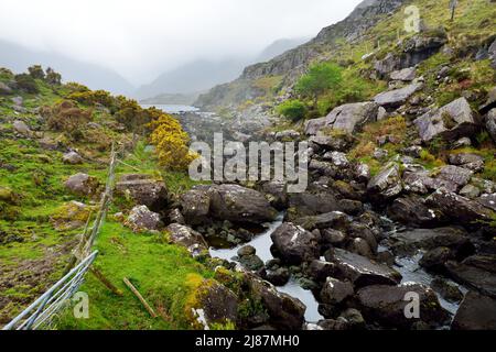 Der Fluss Loe und die schmale Bergpassstraße schlängeln sich durch das steile Tal des Gap of Dunloe, eingebettet in die Macgillycuddys Reeks Mountains, County Stockfoto