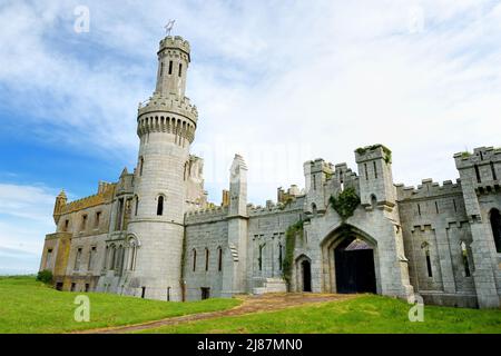 Die Türme und Türme von Ducketts Grove, einem ruinierten großen Haus aus dem 19.. Jahrhundert und einem ehemaligen Anwesen in der Grafschaft Carlow, Irland Stockfoto