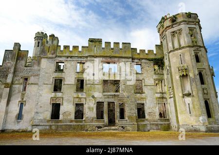 Die Türme und Türme von Ducketts Grove, einem ruinierten großen Haus aus dem 19.. Jahrhundert und einem ehemaligen Anwesen in der Grafschaft Carlow, Irland Stockfoto