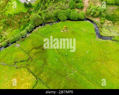 Beautidul Luftlandschaft des Killarney National Park an bewölktem Tag. Wandern in der Grafschaft Kerry, Irland Stockfoto