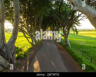 Luftaufnahme der Dark Hedges, einer Allee von Buchen entlang der Bregagh Road in der Grafschaft Antrim. Der atmosphärische Baumtunnel wurde als Drehort verwendet Stockfoto