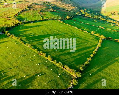 Luftaufnahme der endlose saftige Weiden und Ackerland von Irland. Schöne irische Landschaft mit grünen Wiesen und Feldern. Ländliche Landschaft auf s Stockfoto