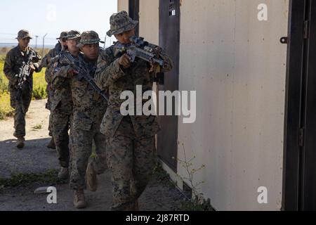 U.S. Marines with Golf Company, Battalion Landing Team 2/4, 13. Marine Expeditionary Unit, bereitet sich auf den Durchbruch in ein Gebäude während eines mechanisierten RAID-Kurses im Marine Corps Base Camp Pendleton, Kalifornien, 10. Mai 2022 vor. Der Schlachtzugskurs war ein einwöchiges Programm, das die Fähigkeit der Marineinfanteristen verbessern sollte, Überfälle in begrenztem Umfang zu planen und durchzuführen, indem Bodenbewegungen verwendet werden, während sie in der Indo-Pazifik-Region eingesetzt werden. (USA Marine Corps Foto von CPL. Carl Matthew Ruppert) Stockfoto