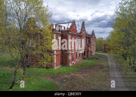 Blick auf die Ruinen eines alten Herrenhauses im Adelsgut 'Knyazhya Gorka' an einem Maifest (Aufnahme aus einem Quadcopter). Pskow-Region, Russland Stockfoto