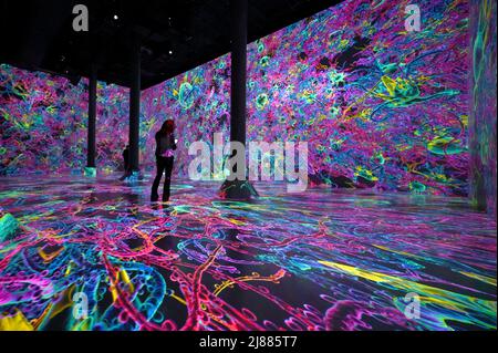 New York, USA. 13.. Mai 2022. Menschen besuchen die digitale immersive Ausstellung „Life of a Neuron“ im Artechouse NYC, New York, NY, 13. Mai 2022. Die Ausstellung ist eine Kooperation mit der Society of Neuroscience und eine digitale Projektion der künstlerischen Darstellung der neuronalen Bahnen der präfrontalen Cortex-Neuronen des Gehirns.(Foto: Anthony Behar/Sipa USA) Quelle: SIPA USA/Alamy Live News Stockfoto