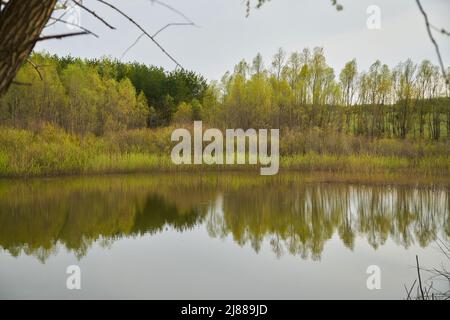 Bäume auf dem Hintergrund des Sees bei bewölktem Wetter. Natur Hintergrund. Stockfoto