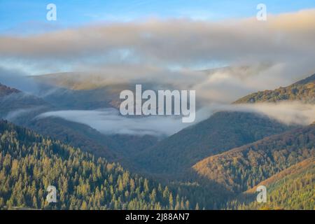 Sonniger Tag im Sommer Ukrainische Karpaten. Leichter Nebel zwischen bewaldeten Bergen. Die ersten Sonnenstrahlen erleuchten die Berggipfel Stockfoto