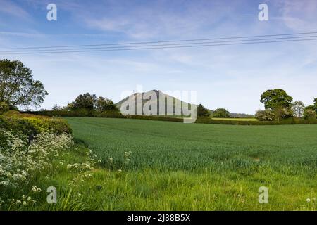 Blick auf den Wrekin-Hügel in der Nähe von Telford in Shropshire, Großbritannien, mit Blick auf ländliche Felder Stockfoto