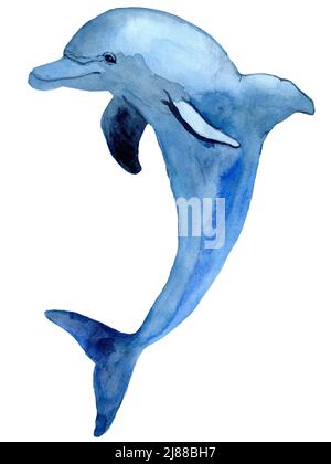 Aquarell handgezeichnete Illustration des Delphins in blauer Farbe. Ozean Tier Hintergrund. Sea Animal im Cartoon-Stil. Design für Textil, Keramik Stockfoto