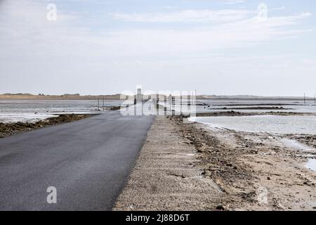 Der Damm kann nur bei Ebbe auf der heiligen Insel lindisfarne northumberland überquert werden Stockfoto