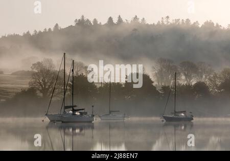 Crosshaven, Cork, Irland. 14.. Mai 2022. Ein ruhiger, friedlicher Morgen an der Owenabue-Mündung, an dem sich der Nebel am Drake's Pool außerhalb von Crosshaven, Co. Cork, Irland, zu zerstreuen beginnt. - Bild David Creedon Stockfoto