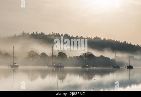 Crosshaven, Cork, Irland. 14.. Mai 2022. Ein ruhiger, friedlicher Morgen an der Owenabue-Mündung, an dem sich der Nebel am Drake's Pool außerhalb von Crosshaven, Co. Cork, Irland, zu zerstreuen beginnt. - Bild David Creedon Stockfoto