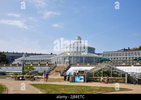 Das Palm House, Gewächshaus im Botanischen Garten der Universität Kopenhagen, Dänemark Stockfoto