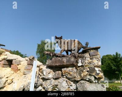 Le Chat observateur sur un mur en pierre à Cerisiers, Yonne, Frankreich Stockfoto