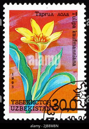 USBEKISTAN - UM 1993: Eine in Usbekistan gedruckte Marke zeigt Waterlily Tulip, Tulipa Kaufmanniana, Flower, um 1993 Stockfoto