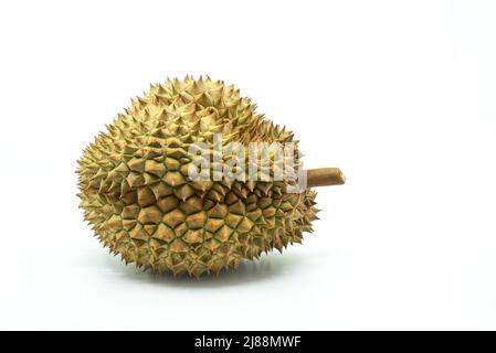 Das ganze Thailand Durian Frucht auf weißem Hintergrund, isoliert Durian, der König der Frucht des asiatischen Landes, Seitenansicht Durian auf Bodenebene. Stockfoto