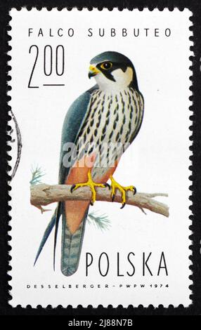 POLEN - UM 1975: Eine in Polen gedruckte Marke zeigt Hobby Falcon, Falco subbuteo, Bird of Prey, um 1975 Stockfoto