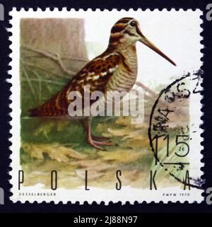 POLEN - UM 1970: Eine in Polen gedruckte Marke zeigt Woodcock, Scolopax rusticola, Game Bird, um 1970 Stockfoto