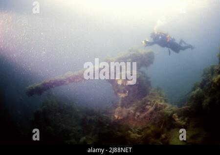 Taucherin neben einer Waffe, die alle auf versunkenen Blockschiffen Orkney Isles ist, die versuchen, Scapa während des Zweiten Weltkriegs zu schützen. Einige sind sehr landschaftlich Stockfoto