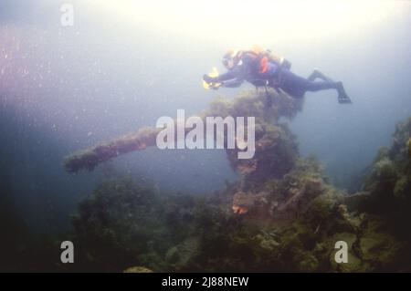 Taucherin neben einer Waffe, die alle auf versunkenen Blockschiffen Orkney Isles ist, die versuchen, Scapa während des Zweiten Weltkriegs zu schützen. Einige sind sehr landschaftlich Stockfoto