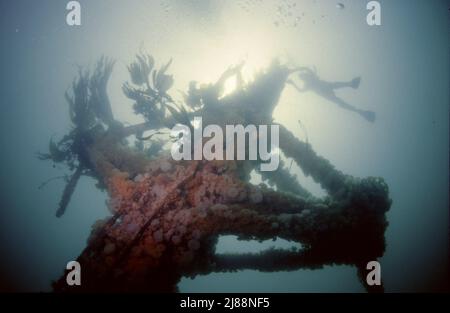 Der Diverer auf der SS Hispania sank am on18. Dezember 1954, nachdem er die Sgeir More getroffen hatte, weigerte sich Kapitän Ivan Dahn zu verlassen und entschied sich, mit dem Schiff abzusteigen. Stockfoto