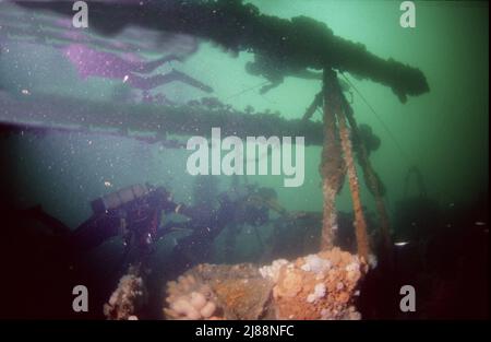 Taucher auf der SS Hispania sanken am on18. Dezember 1954, nachdem Kapitän Ivan Dahn die Sgeir More getroffen hatte, weigerte sich zu gehen und entschied sich, mit dem Schiff abzusteigen. Stockfoto