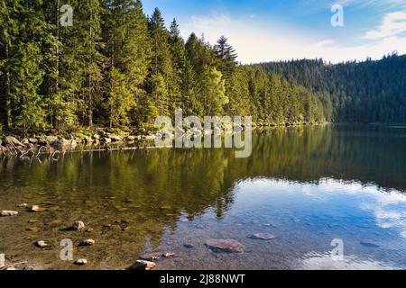 Schöner See Certovo jezero im Böhmerwald, Tschechien. Stockfoto