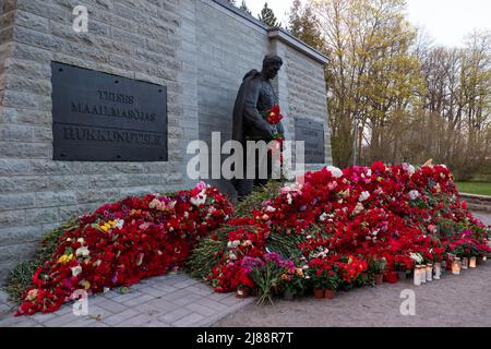 Tallinn, Estland - 12. Mai 2022: Bronze Soldat (est: Pronkssõdur) Denkmal. Veteranen der Roten Armee feiern den Victory Day mit roten Nelkenblumen Stockfoto