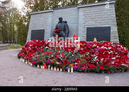 Tallinn, Estland - 12. Mai 2022: Bronze Soldat (est: Pronkssõdur) Denkmal. Veteranen der Roten Armee feiern den Victory Day mit roten Nelkenblumen Stockfoto