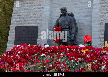 Tallinn, Estland - 12. Mai 2022: Bronze Soldat (est: Pronkssõdur) Denkmal. Veteranen der Roten Armee feiern den Victory Day mit roten Nelkenblumen Stockfoto