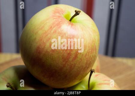 Ein paar Galaäpfel, eine Nahaufnahme. Obst. Stockfoto