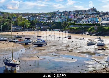 Das wunderschöne Fischerdorf New Quay liegt in Ceredigion an der Westküste von Wales. Bei Ebbe am Harbour Beach ist der goldene Sand freigelegt. Stockfoto
