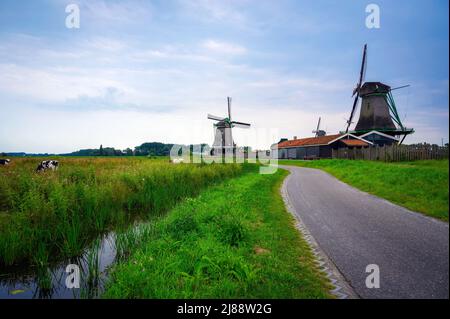 Bauernhäuser und Windmühlen von Zaanse Schans Stockfoto